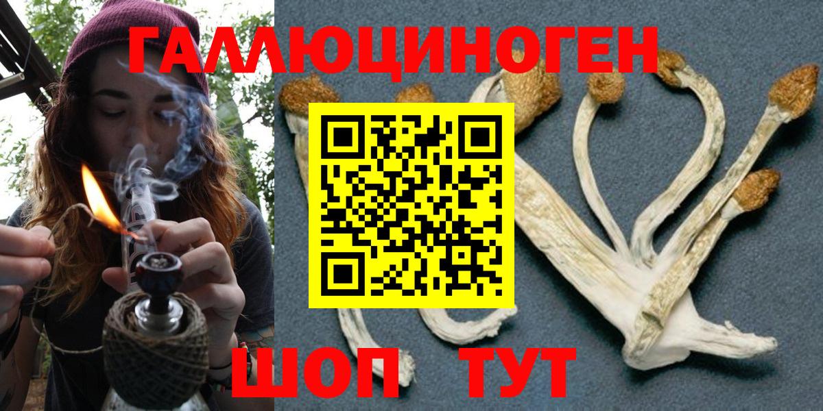 Псилоцибиновые грибы прущие грибы  Вход с VPN  Галлюциногенные грибы Psilocybe  Янаул 
